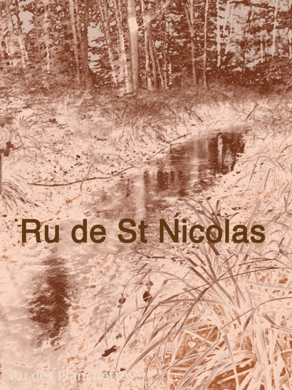 Le ru de Saint Nicolas et le ru des Planchettes dans leur traversée de la forêt, puis leur jonction dans Saint Jean aux Bois