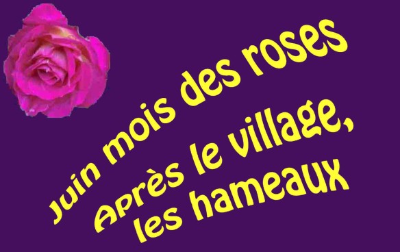 Mois-des-roses-1a.jpg
