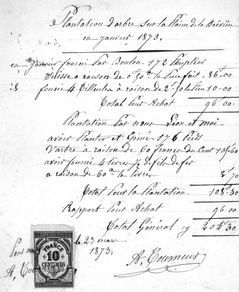 299,60 francs inscrits au budget de 1873